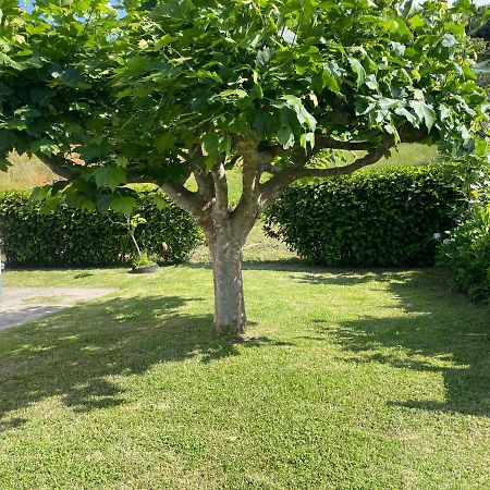 Moradia Rustica Jardim Villa Caloura Exteriör bild