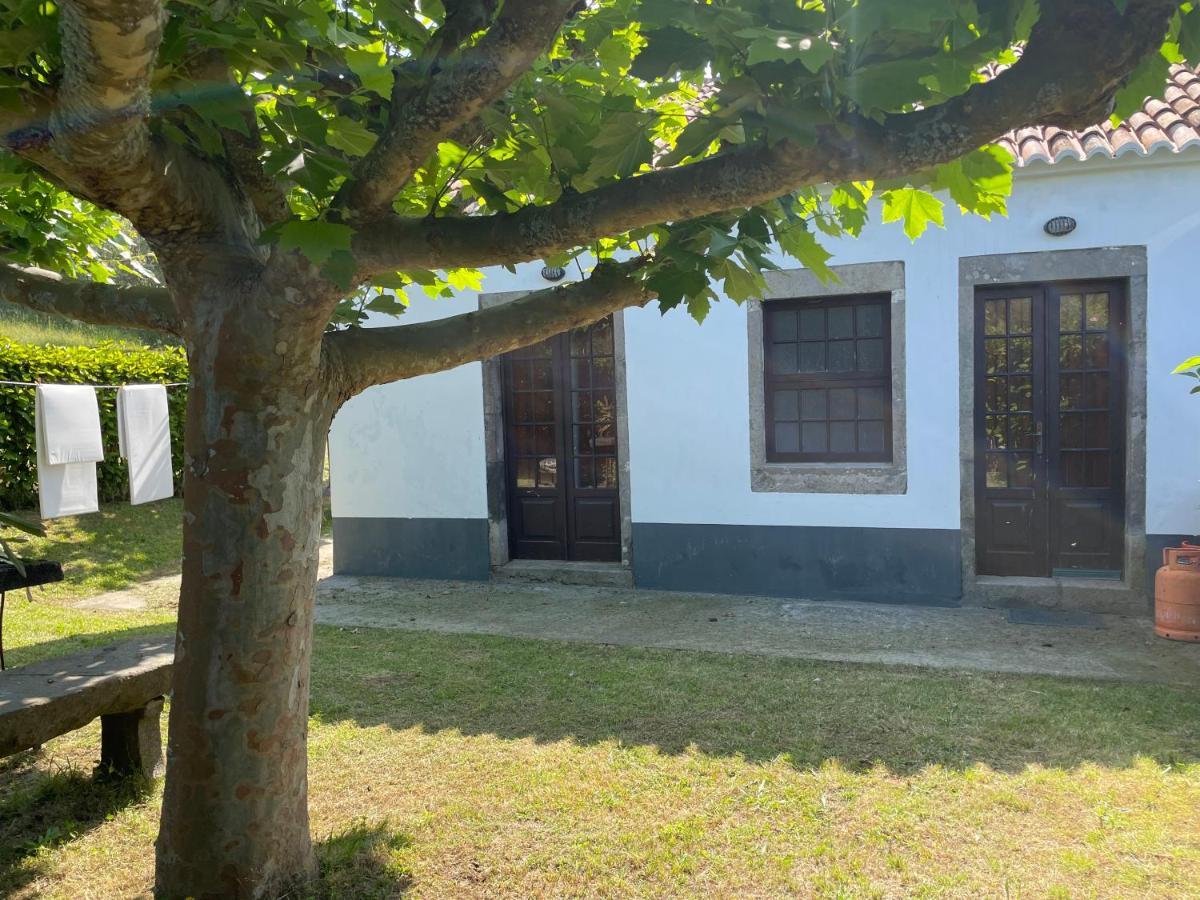 Moradia Rustica Jardim Villa Caloura Exteriör bild