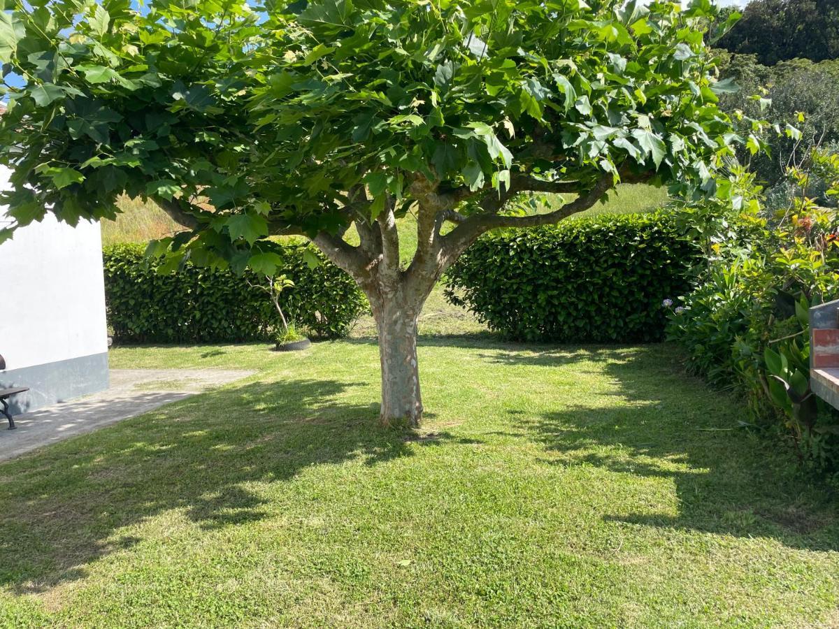 Moradia Rustica Jardim Villa Caloura Exteriör bild